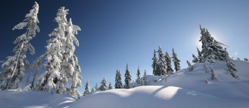 Winterstimmung auf dem Feldberg im Schwarzwald