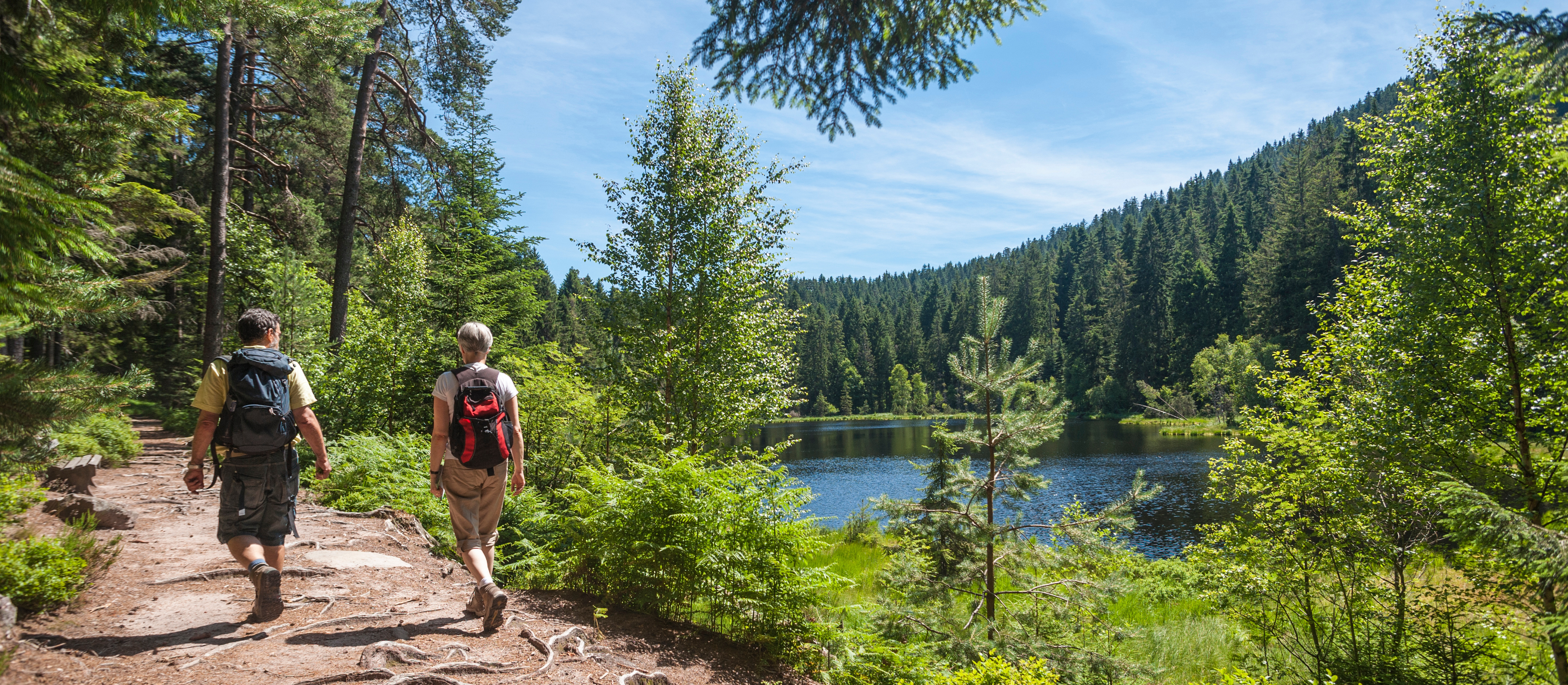 Zwei Wanderer wandern durch den Wald an einem See entlang im Schwarzwald.