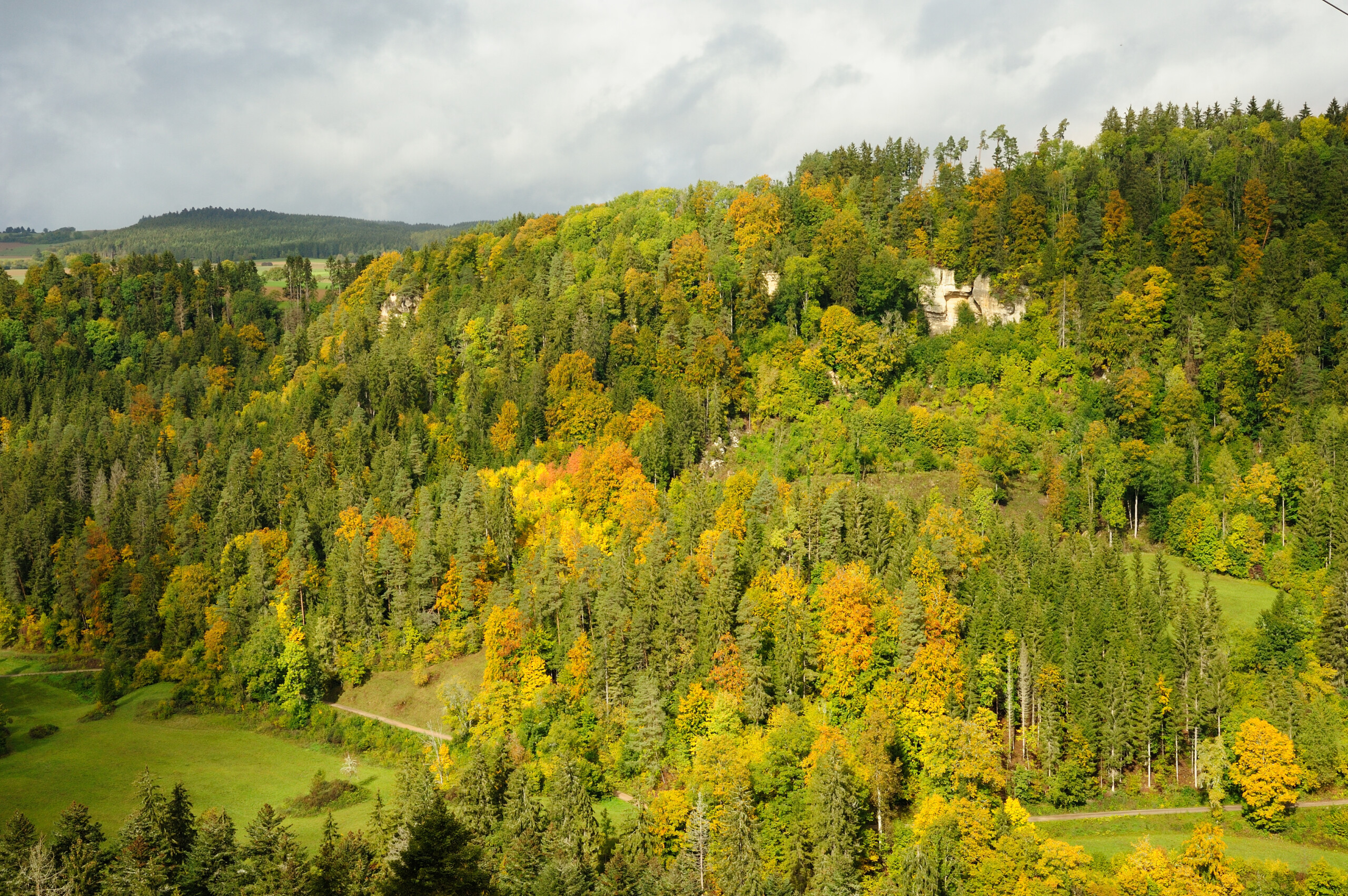 Roggenbacher Schlösser im Herbstwald beim Wandern in Bonndorf im Schwarzwald